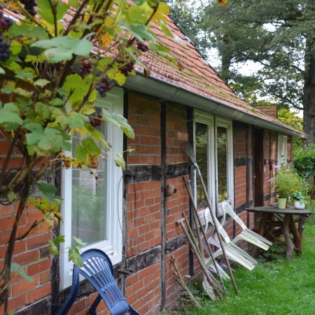 Eremiten in Deutschland - Maria Anna Leenen